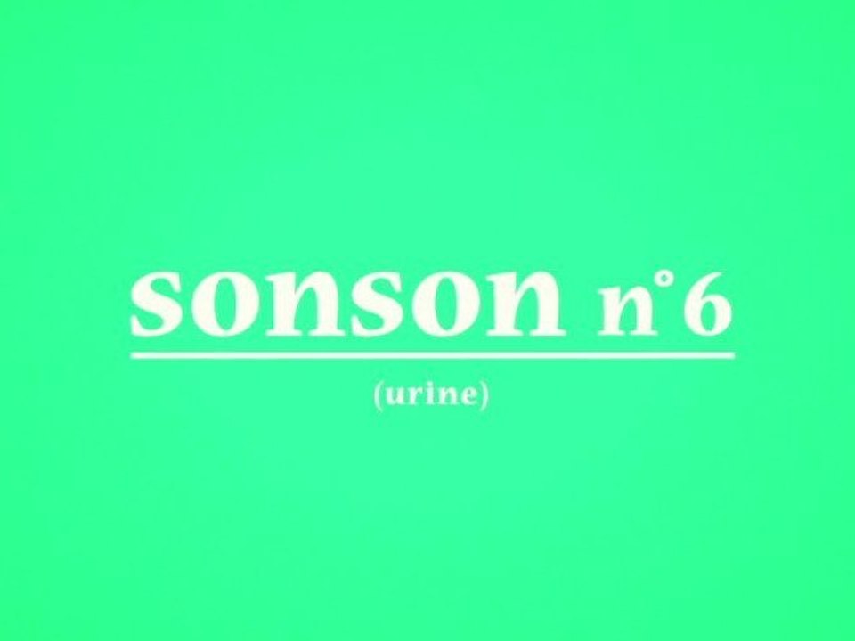 SONSON N°6 (urine)
