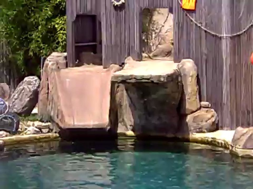 Spectacle des otaries au Parc animalier LE PAL (2ème partie)