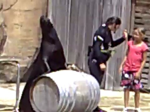 Spectacle des Otaries au Parc animalier LE PAL (3ème partie)