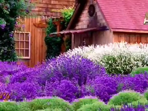 Bediüzzaman Hazretleri Kendi Yaşadığı Dönemde Hz. Mehdi (AS)'ın Üç Görevinin Birarada Yerine Getirilmesinin Mümkün Olmadığını Belirtmiştir