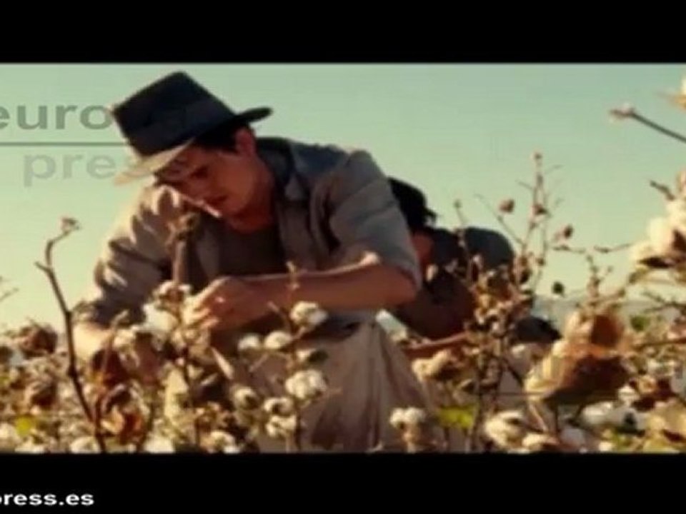 Stewart pide perdón por su infidelidad a Pattinson