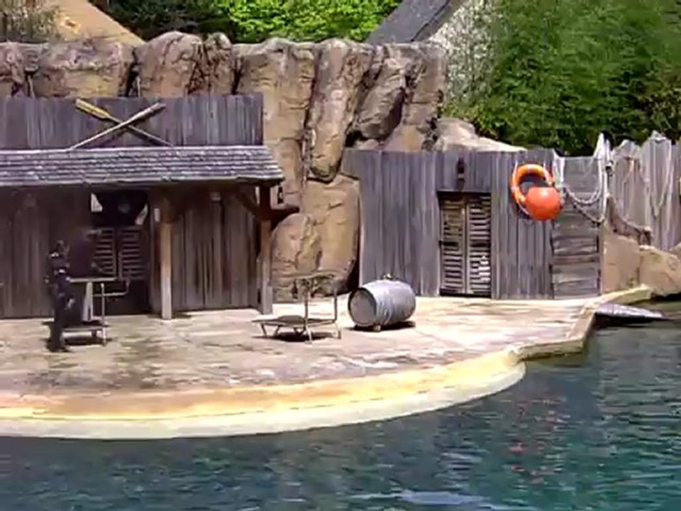 Début du Spectacle des Otaries au Parc animalier LE PAL  (1ère partie)