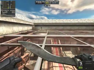 Point Blank ormanci damage hack