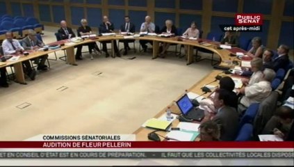 Audition,Fleur Pellerin