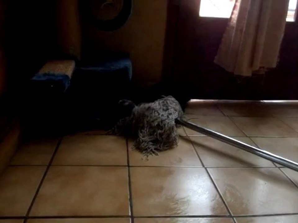 socket aide au ménage