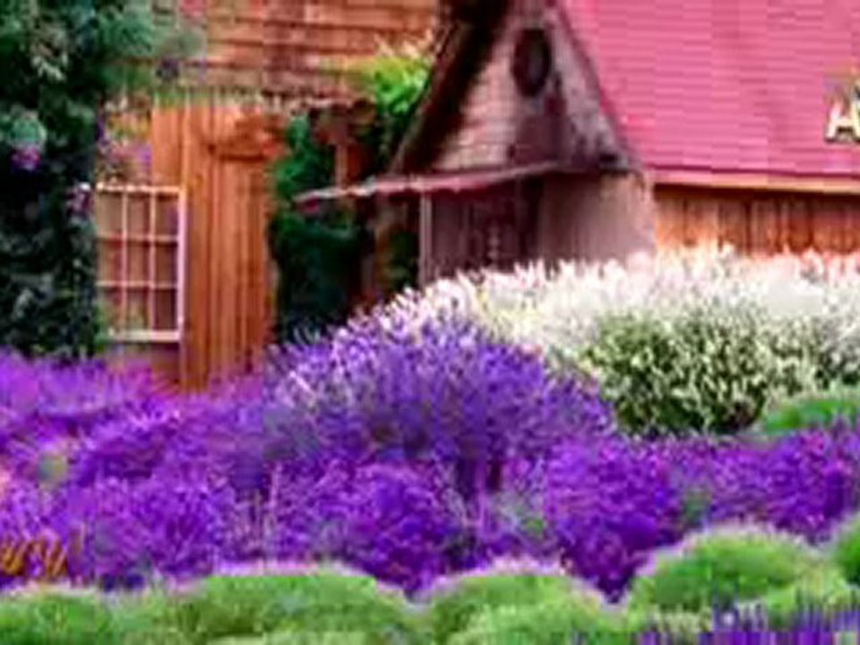 Bediüzzaman Hazretleri Kendi Yaşadığı Dönemde Hz. Mehdi (AS)'ın Üç Görevinin Birarada Yerine Getirilmesinin Mümkün Olmadığını Belirtmiştir