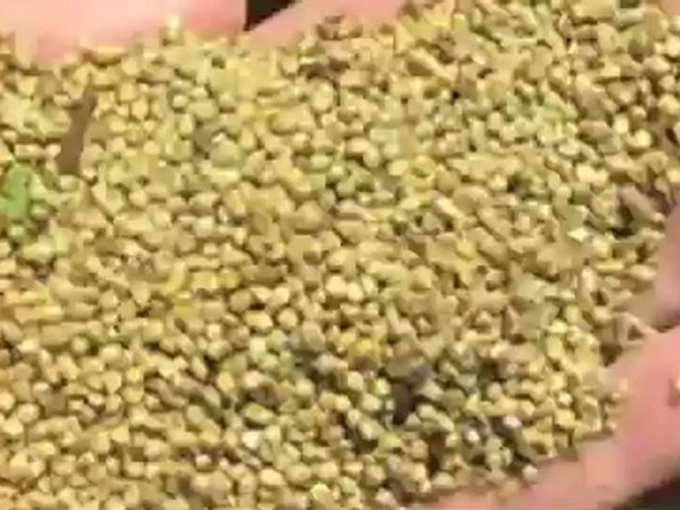 Best Diet - The Diet Solution Program  Do carbs make you FAT?