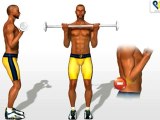 Biceps Exercises- Barbell Curls