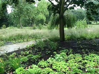 Local businesses & the Olympics: The Britannia Pub, Victoria Park