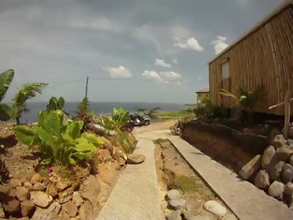 Plantes fin juillet 2012