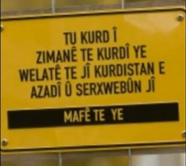 S.Demîrtaş~BDP ji bo kesên bedena xwe didin agir çi difikire û bangawazî dike...