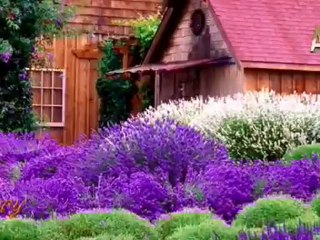 Bediüzzaman Hazretleri Kendi Yaşadığı Dönemde Hz. Mehdi (AS)'ın Üç Görevinin Birarada Yerine Getirilmesinin Mümkün Olmadığını Belirtmiştir