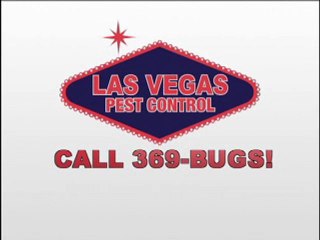 Pest Control Las Vegas - Las Vegas Pest Control