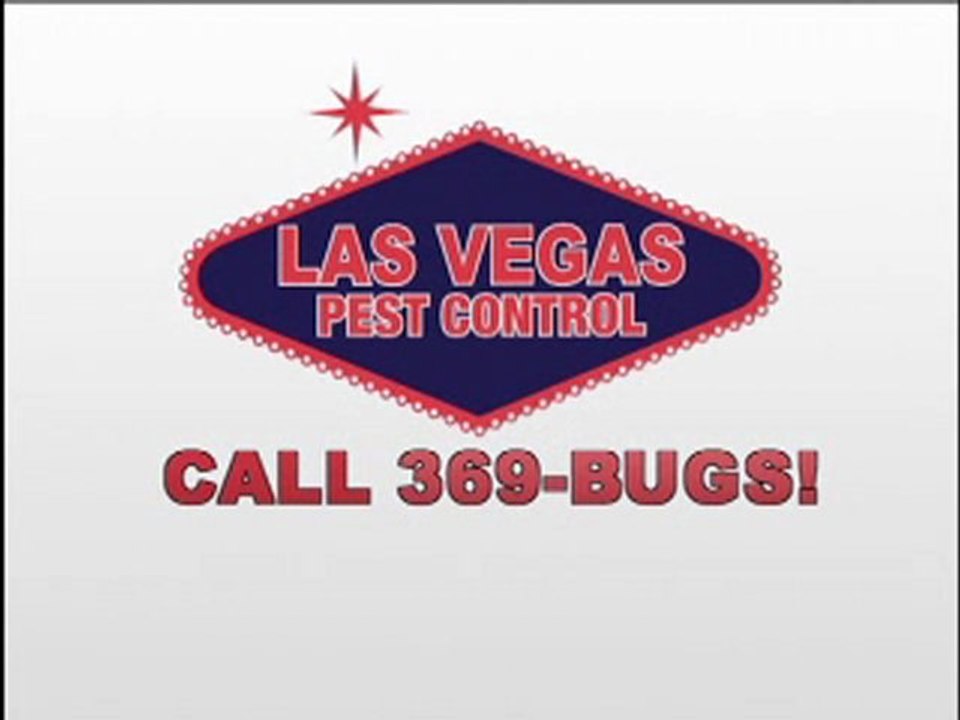 Pest Control Las Vegas - Las Vegas Pest Control