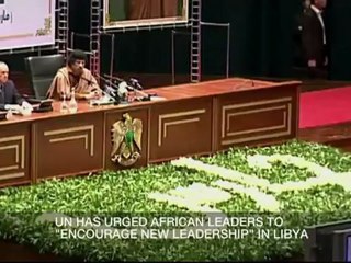 Inside Story - Why won't the AU back the Libyan rebels?