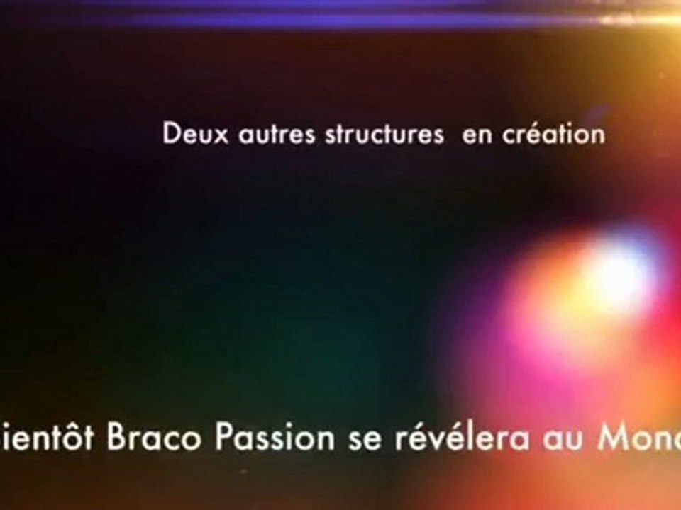 Histoire Braco Passion