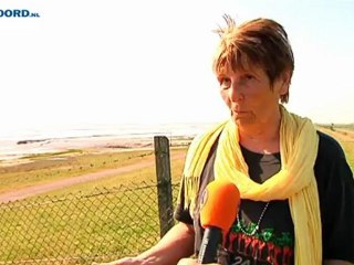 Zeehondencreche regen afschieten zeehonden - RTV Noord