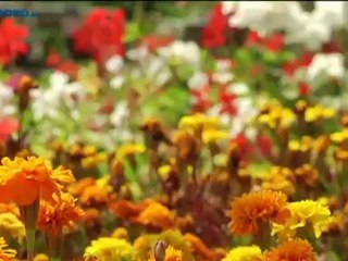 Gehandicapten in zwaar weer: opvangcentra moeten sluiten - RTV Noord