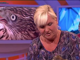 Noord-Amerikaanse Coopers havik in Meedhuizen - RTV Noord