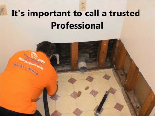 Water Damage Repair Portland