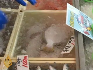 Fukushima investigation finds lives were put at risk