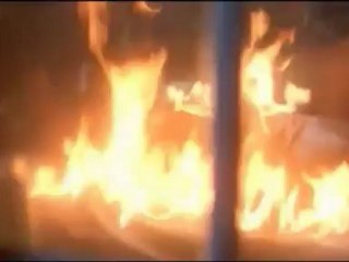 horror icons año 1981 cropsy