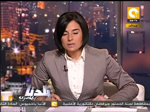 ناصر أمين: حق التصويت مكفول للشاطر ولكن ليس حق الترشح