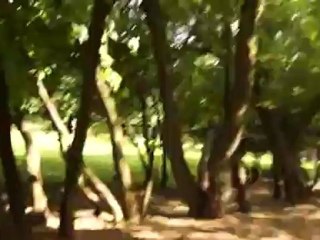 стоматолог 002