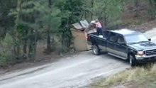 Спасение медвежат