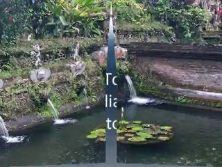 Find the most exotic Bali activities with balisuccesstours.com.au