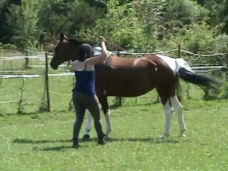 Tirelire - 306° - Dépl latétaux - reculer par aspiration