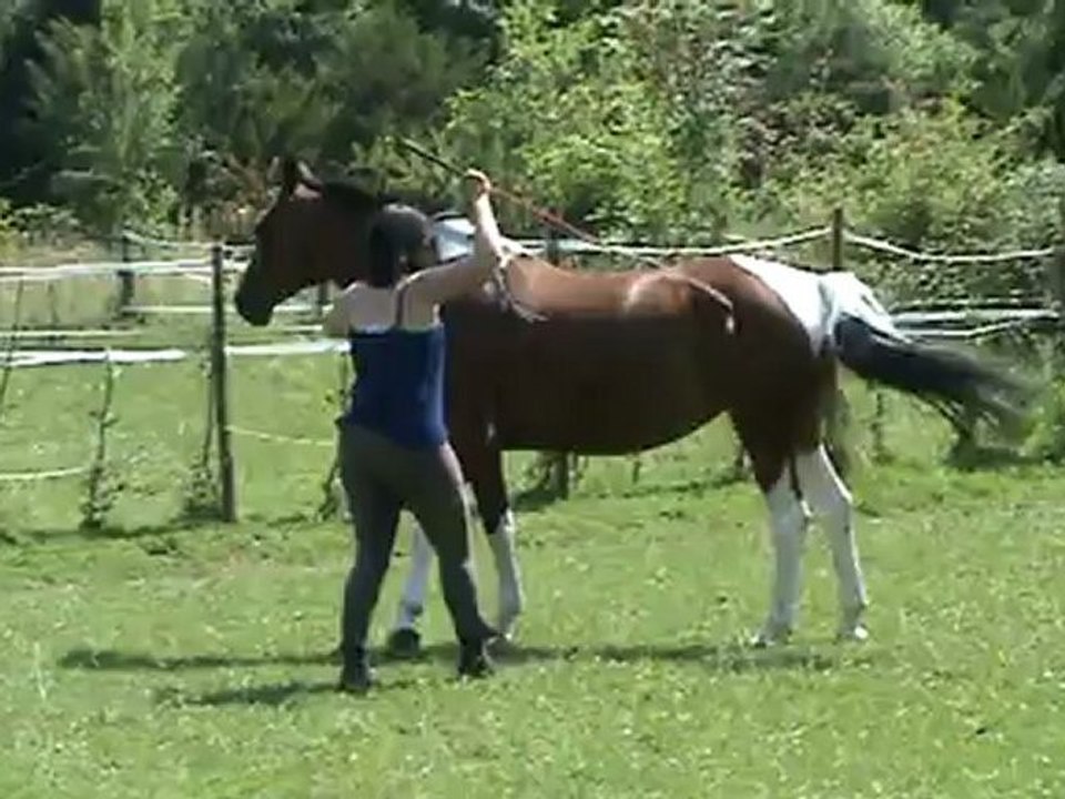 Tirelire - 306° - Dépl latétaux - reculer par aspiration