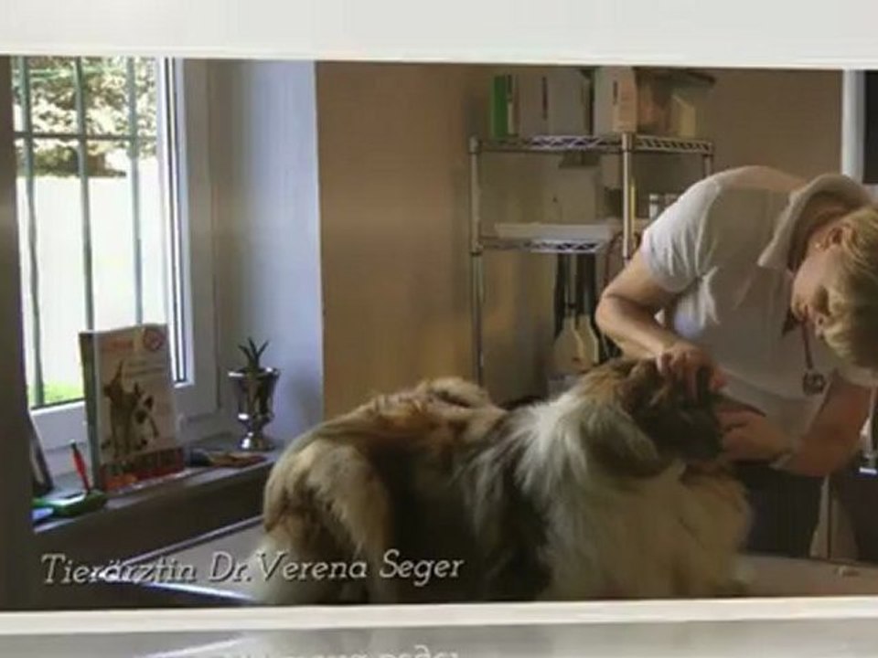 Camping Brückler Nord Keutschacher See-Kärnten