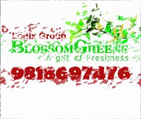 Logix Blossom Greens Noida - 9818697476 Logix Blossom Greens