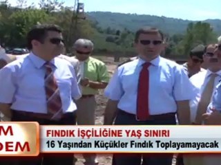 FINDIK İŞÇİLİĞİNE YAŞ SINIRI