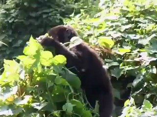 L'ascenseur avec Aurélie Vaneck