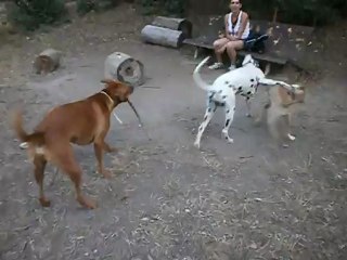 Redden, Gandhi, et Eros 26/07/2012 n° 3