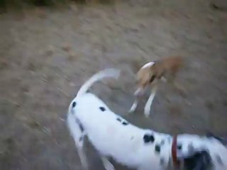 Redden, Gandhi, et Eros 26/07/2012 n° 4