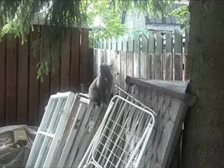 Motorola RAZR XT910 - Тест камеры