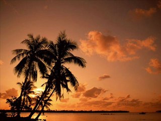 TRABZON EVDEN EVE NAKLİYAT 0462 323 04 04