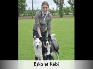 Concours du plus beau chiens :