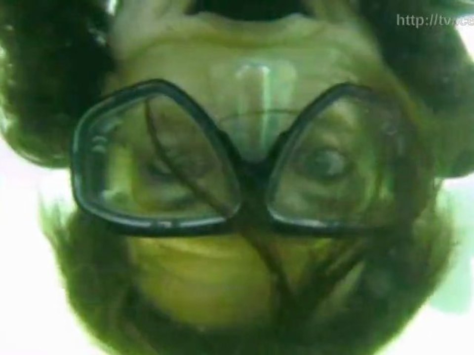 In der schönen Helene ;) ... tauchen - iceworx.org