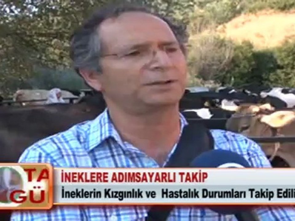 İNEKLERE ADIMSAYARLI TAKİP