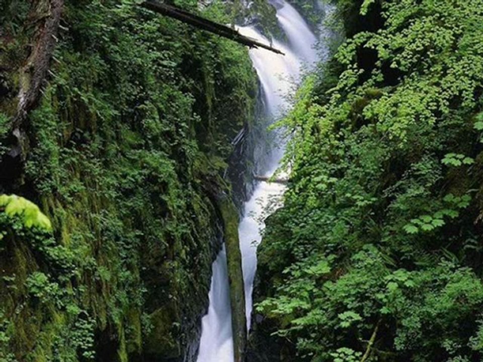 EVDEN EVE TRABZON 0462 323 04 04