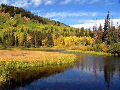 TRABZONDA EVDEN EVE 0462 323 04 04