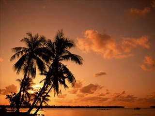 EVDEN EVE NAKLİYAT FİRMALARI TRABZON 0462 323 04 04