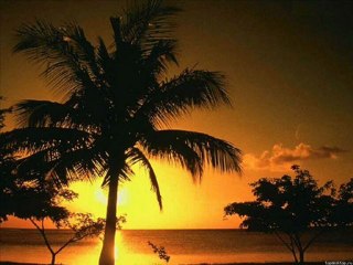 EVDEN EVE NAKLİYAT TRABZON 0462 323 04 04