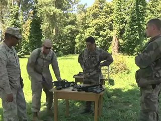 Des marines chez les marsouins du 3e RIMa - juillet 2012