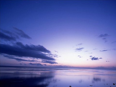 EVDEN EVE NAKLİYAT 0462 323 04 04