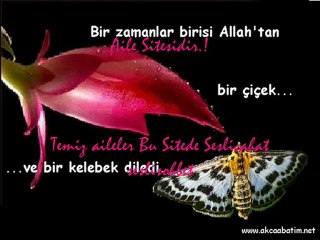 www.seslipus.com Muhammed bir şey bilmez. Yalnız benim kendisine yazdığım şeyleri bilir» demeye başladı. Ve aradan çok bir zaman geçmeden Allah onun canını aldı. Hristiyanlar onu gömdüler. Fakat sabah olunca gömüldüğü yer onu dışarı atmıştı. Bunun üzerine
